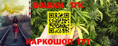 бошки Гагарин