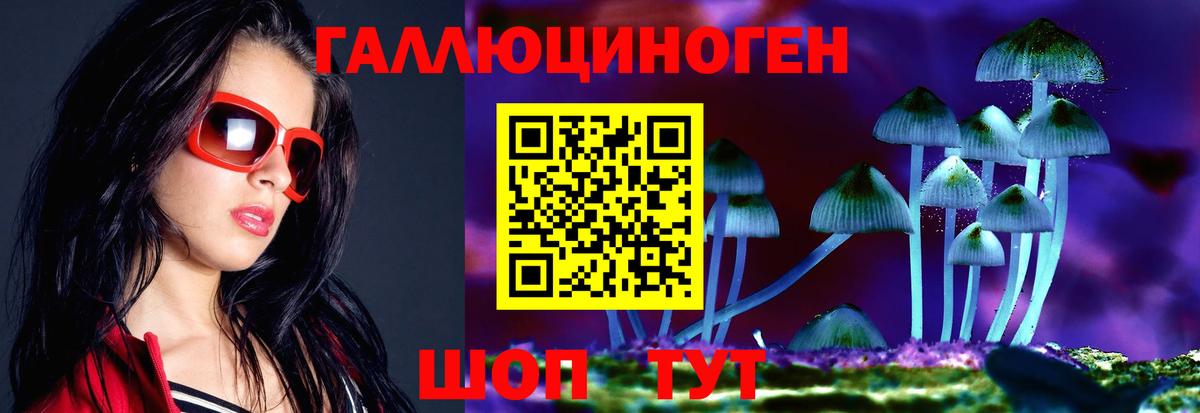 Мирный  Псилоцибиновые грибы MAGIC MUSHROOMS  Вход с VPN 